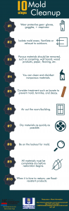 Cover photo for 10 Steps for Mold Clean Up