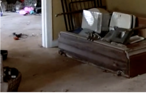 Cover photo for Wall-to-Wall Carpeting and Water Damage