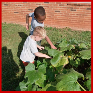 Children in the garden looking at produce